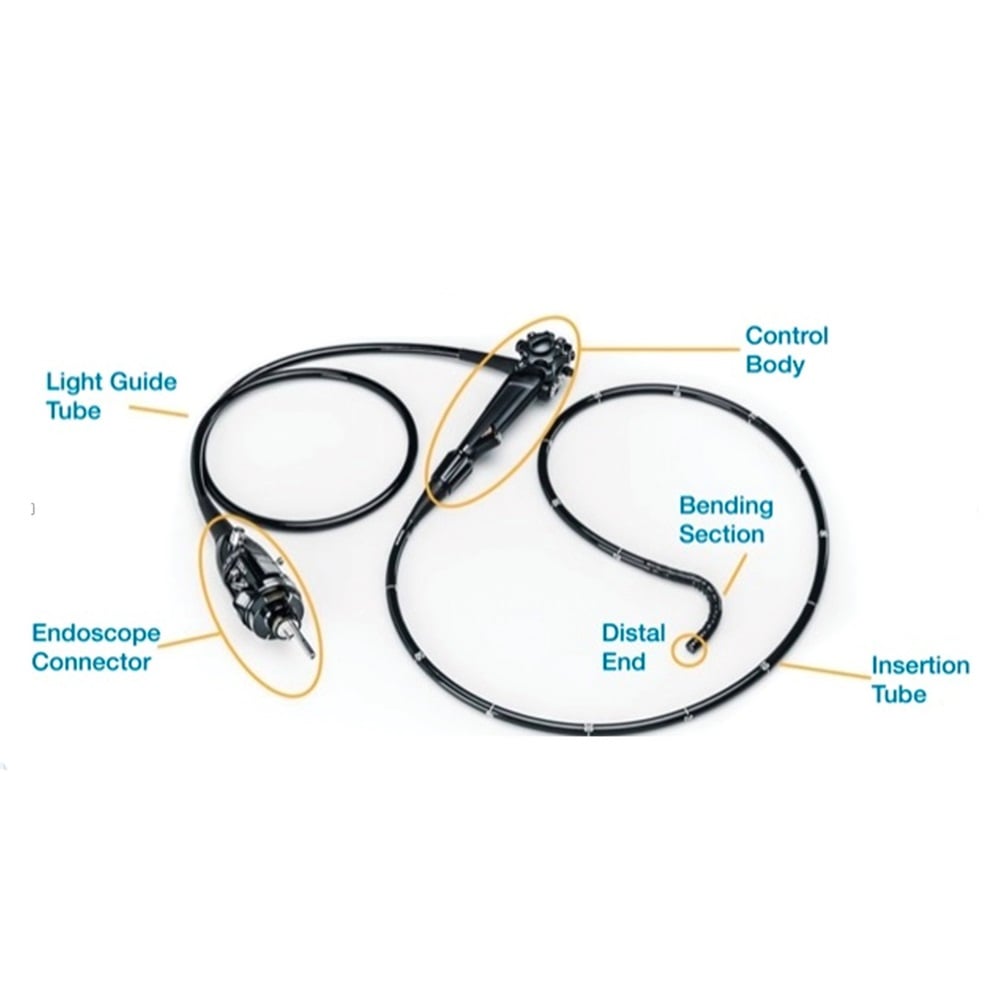 清洗消毒设备展示